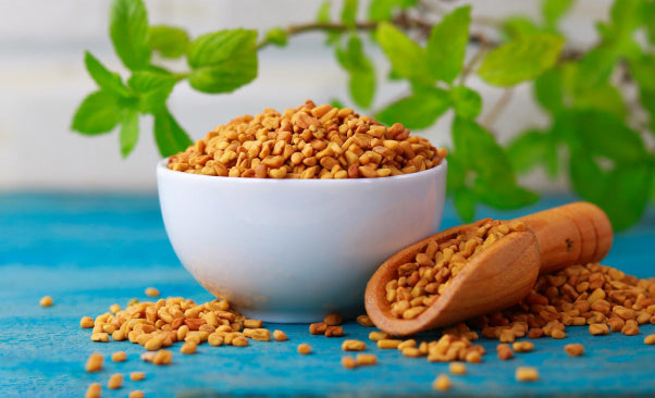 Methi Seed