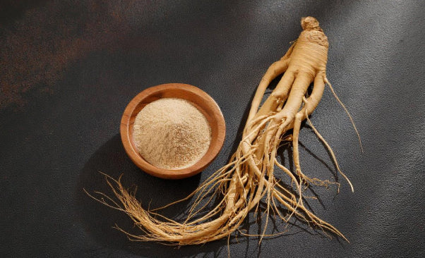 Panax Ginseng
